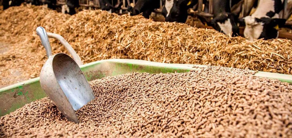 Новые ориентиры для развития сельского хозяйства