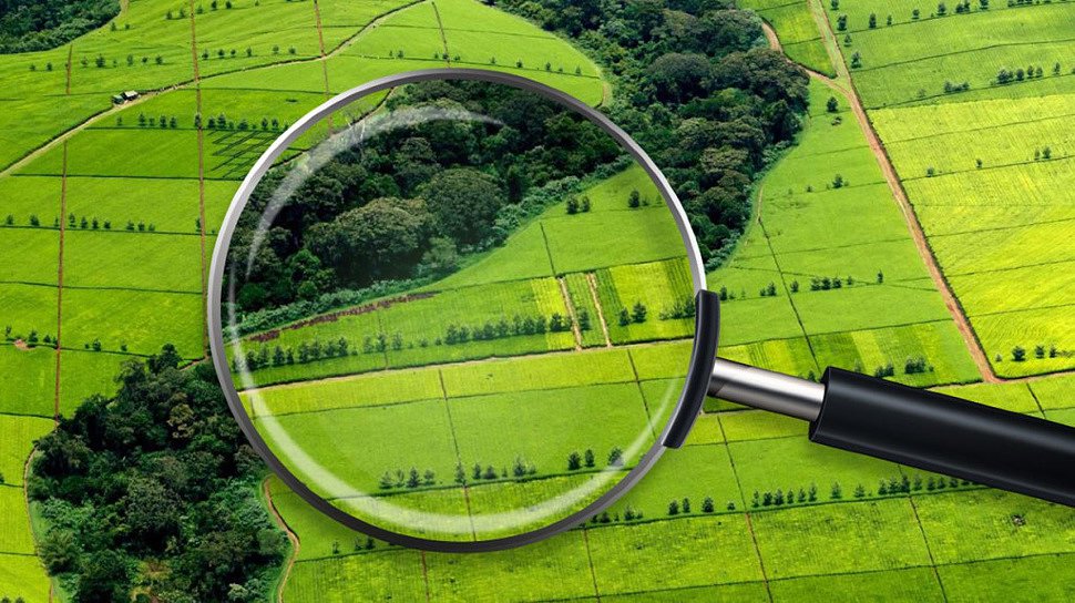 О Российском эксперименте 2021 года по созданию  Единого Информационного Ресурса о Земле и Недвижимости