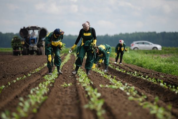 Перечень получателей мер государственной поддержки в области сельского хозяйства  расширен 